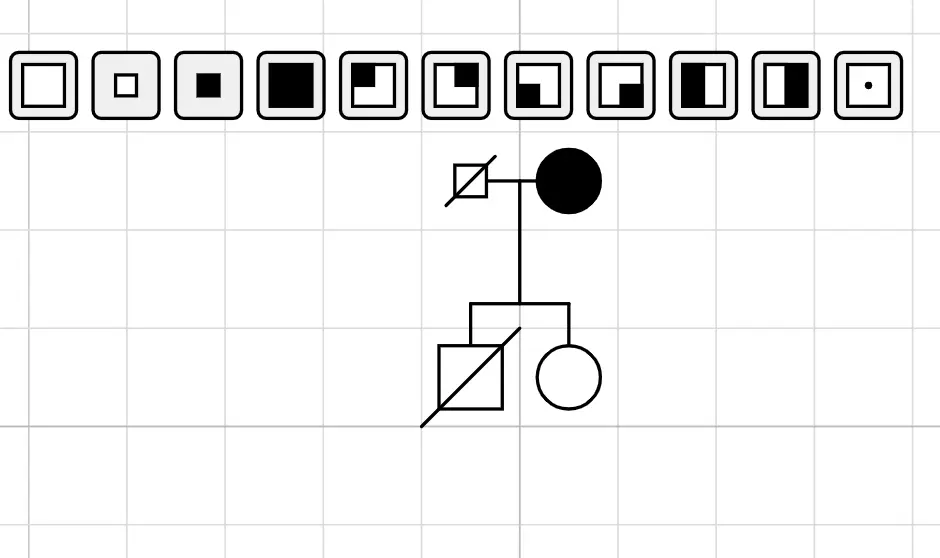 Ripolas Genealogy App main interface