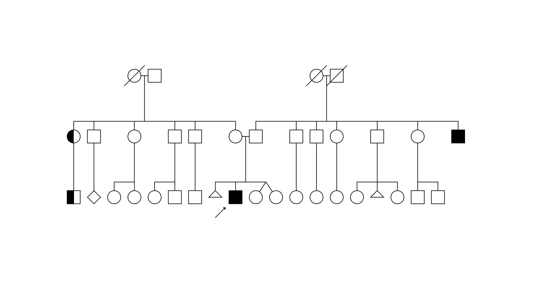 Example pedigree tree drawn in the genealogy tool